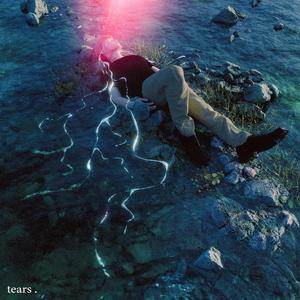 汤芳在METCN的成名经历简介
