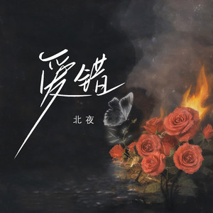 汤芳在METCN的成名经历简介
