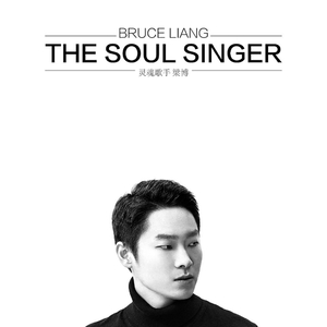 汤芳在METCN的成名经历简介
