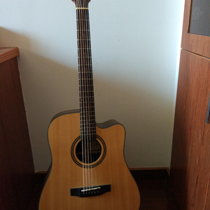 汤芳在METCN的成名经历简介
